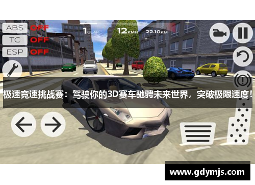 极速竞速挑战赛：驾驶你的3D赛车驰骋未来世界，突破极限速度！